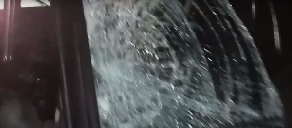 Под Солигорском Нива сбила велосипедиста - видео Под Солигорском Нива сбила велосипедиста - видео - Sputnik Беларусь