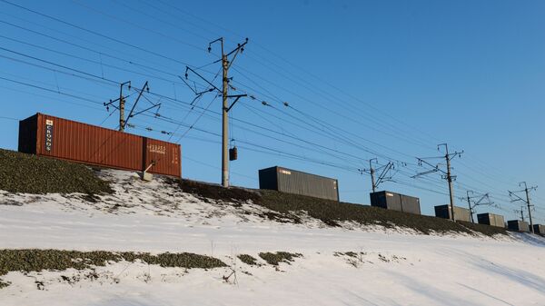 Железнодорожные платформы с контейнерами, архивное фото - Sputnik Беларусь