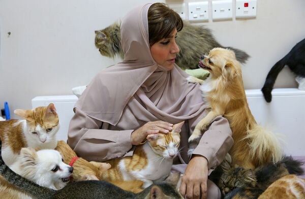 Марьям Аль Балуши гладит одну из своих кошек в своем доме в столице Омана Маскате - Sputnik Беларусь