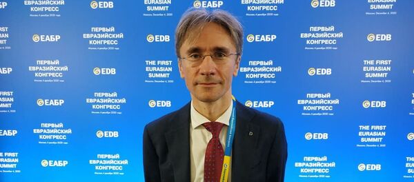 Председатель правления Банка развития Беларуси Андрей Жишкевич  - Sputnik Беларусь