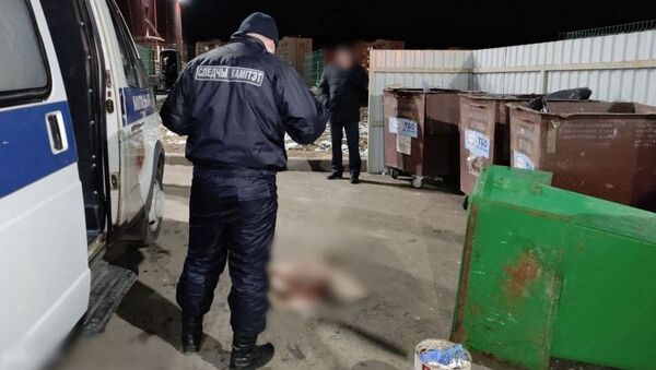 Тело младенца обнаружено в контейнере для мусора в Витебске - Sputnik Беларусь