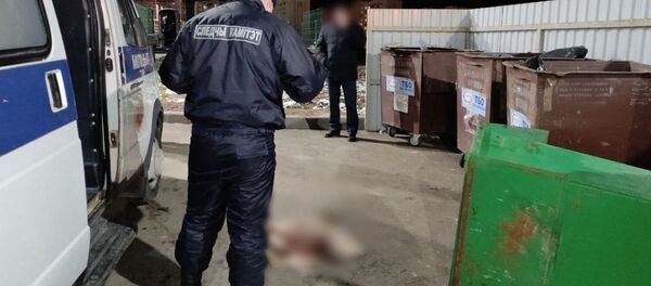 Тело младенца обнаружено в контейнере для мусора в Витебске - Sputnik Беларусь