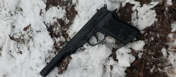 Житель Борисова угрожал сотруднику милиции предметом, похожим на пневматический пистолет - Sputnik Беларусь