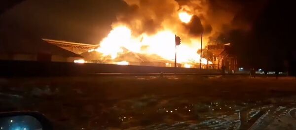 Сильный пожар произошел на зерноскладе в Кобрине - Sputnik Беларусь