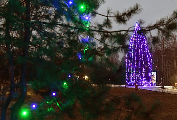 Резиденция Деда Мороза в сафари-парке Национального парка Припятский - Sputnik Беларусь