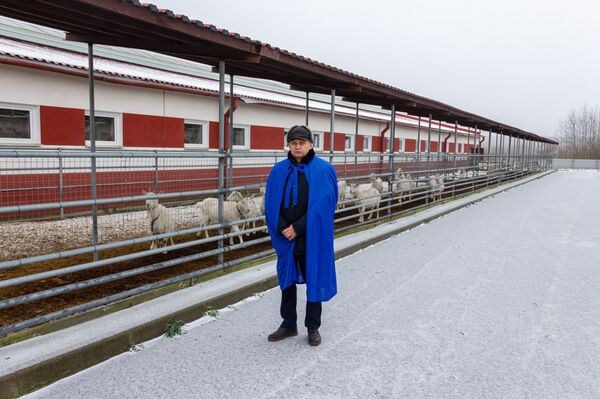 Лактоферрин мог спасать от COVID и рака – почему его производство буксует? - Sputnik Беларусь