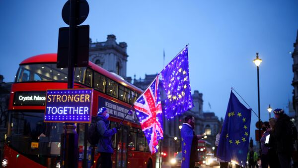 Протестующие против Brexit у здания парламента в Лондоне - Sputnik Беларусь