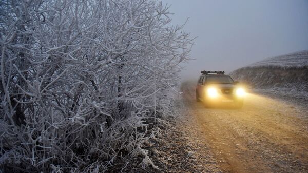 Туман зимой - Sputnik Беларусь