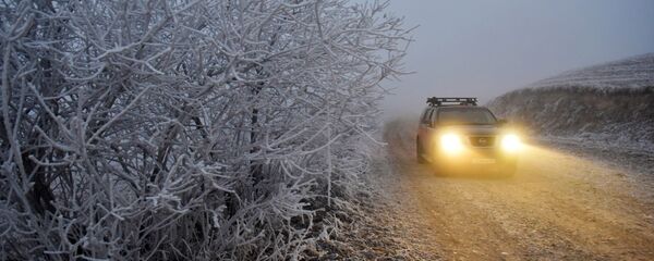 Туман зимой - Sputnik Беларусь