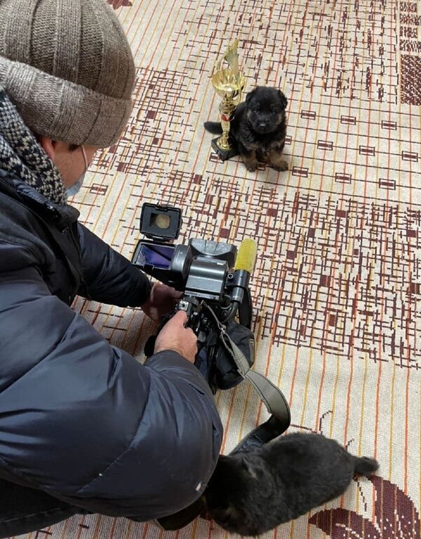 Комочек умиления: кинологический центр ВС принял четвероногое пополнение  - Sputnik Беларусь