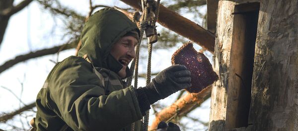 Бортнік Палесся Міхаіл Флёрка Бортнік Палесся Міхаіл Флёрка - Sputnik Беларусь