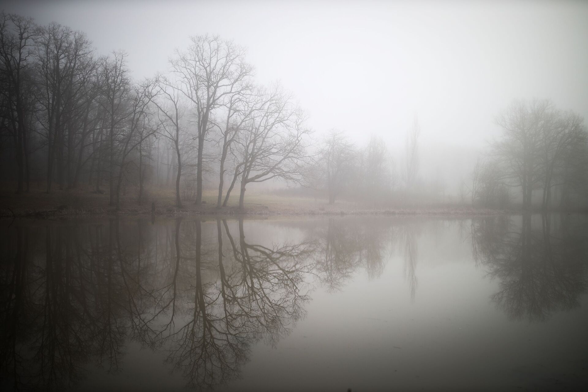 Таман, архивное фото - Sputnik Беларусь, 1920, 20.11.2025