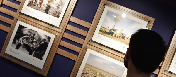 Открытие выставки победителей конкурса им. Андрея Стенина в Анкаре - Sputnik Беларусь