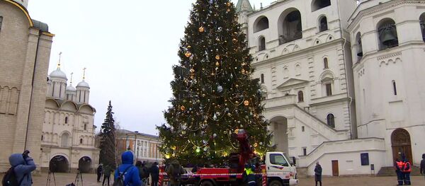 Як выглядае галоўная елка Расіі на Саборнай плошчы - відэа Як выглядае галоўная елка Расіі на Саборнай плошчы - відэа - Sputnik Беларусь