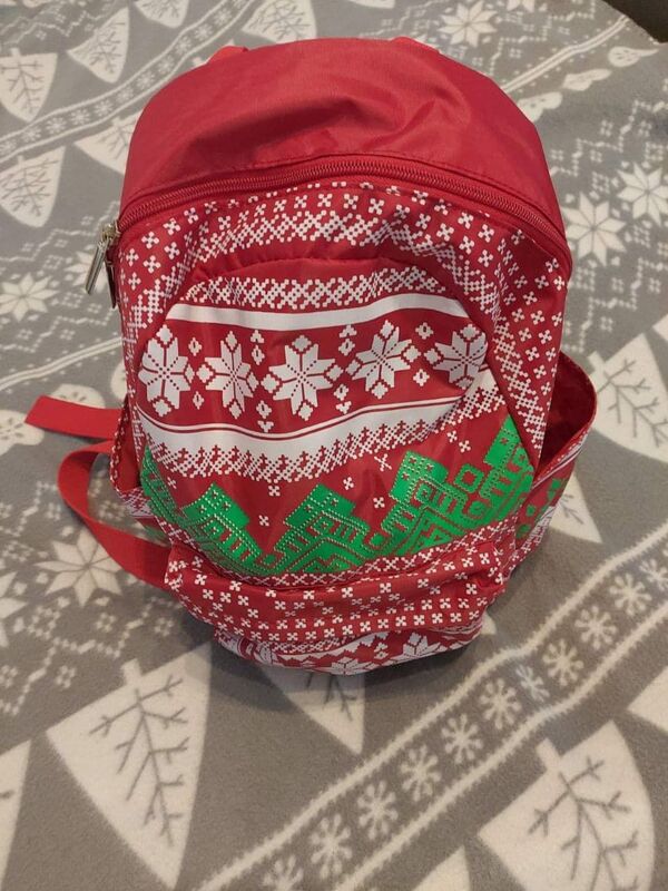 Фотофакт: что Лукашенко подарил школьникам на елке во Дворце Республики - Sputnik Беларусь