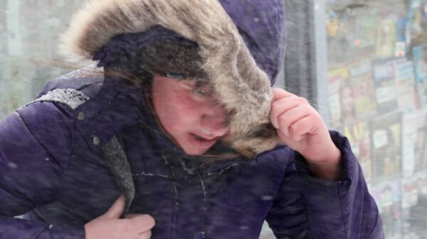 Прохожий во время снегопада и ветра - Sputnik Беларусь