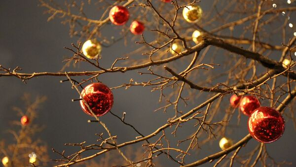 Новогодние шары на ветке дерева, архивное фото - Sputnik Беларусь