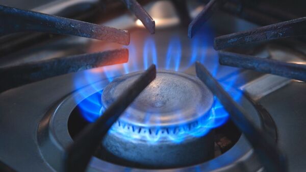 Газовая плита, архивное фото - Sputnik Беларусь