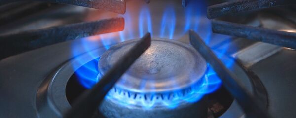 Газовая плита, архивное фото - Sputnik Беларусь