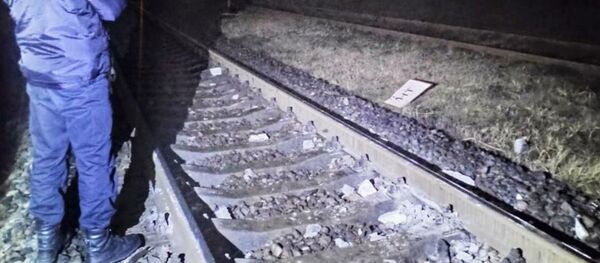 Железнодорожные пути перекрыли бетонным столбом в Лиде  - Sputnik Беларусь