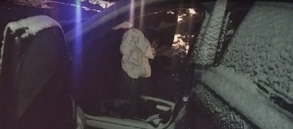 Двое детей погибли в ДТП под Витебском – кадры с места трагедии - Sputnik Беларусь