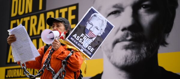 Сторонники Джулиана Ассанжа у здания центрального уголовного суда (Олд-Бейли) в Лондоне, где проходят слушания по делу об экстрадиции Сторонники Джулиана Ассанжа у здания центрального уголовного суда (Олд-Бейли) в Лондоне, где проходят слушания по делу об экстрадиции - Sputnik Беларусь