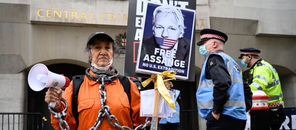 Возобновление слушаний по делу об экстрадиции Дж. Ассанжа в США Возобновление слушаний по делу об экстрадиции Дж. Ассанжа в США - Sputnik Беларусь