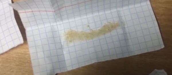 Таможенники нашли наркотики в международных посылках - Sputnik Беларусь