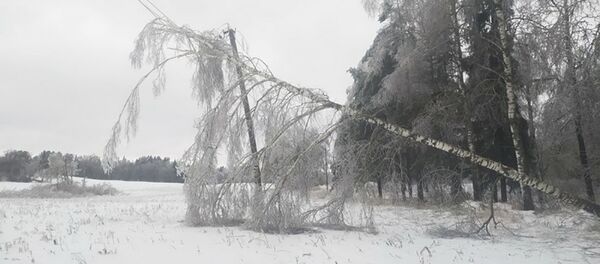 Более 80 населенных пунктов Витебской области остались без света - Sputnik Беларусь
