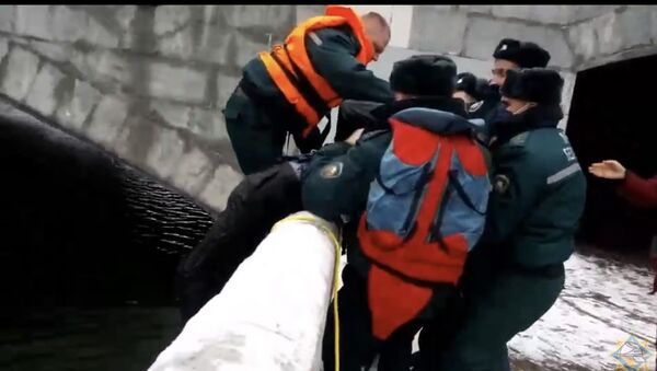 В Минске спасатели и водолазы вытащили из Свислочи мужчину - Sputnik Беларусь