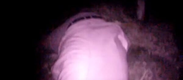 Погоня с засадой: бесправника задержали инспекторы ГАИ возле Гомеля - Sputnik Беларусь