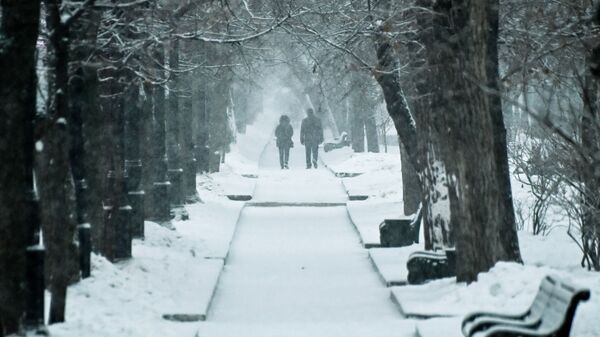 Прохожие в сквере в снегопад - Sputnik Беларусь