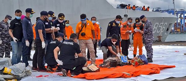 Что известно о крушении рейса SJY 182 авиакомпании Sriwijaya – видео  - Sputnik Беларусь