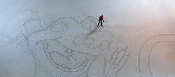 Видеофакт: картины на заснеженном хоккейном корте Видеофакт: картины на заснеженном хоккейном корте - Sputnik Беларусь