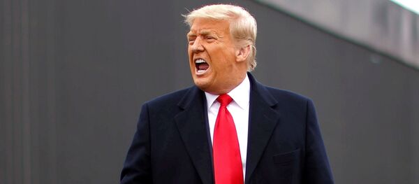 Президент США Дональд Трамп - Sputnik Беларусь