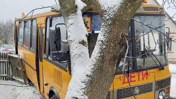 Школьный автобус попал в ДТП в Брестском районе - Sputnik Беларусь