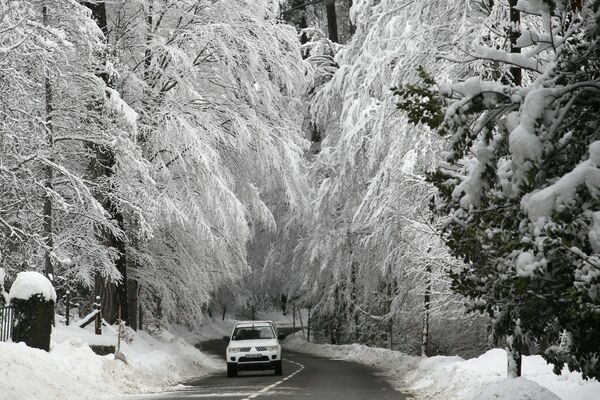 Автомобиль проезжает под покрытыми снегом деревьями на Корсике - Sputnik Беларусь
