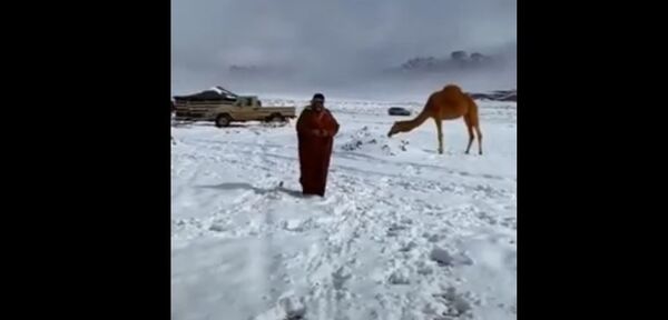 Редкое зрелище: в пустыне Сахара выпал снег Редкое зрелище: в пустыне Сахара выпал снег - Sputnik Беларусь