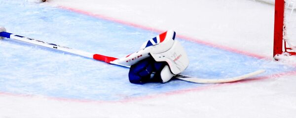 Шайба в воротах - Sputnik Беларусь