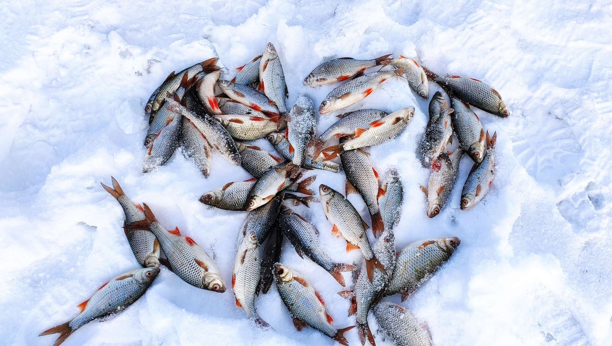 Заславское водохранилище Минск зимняя рыбалка