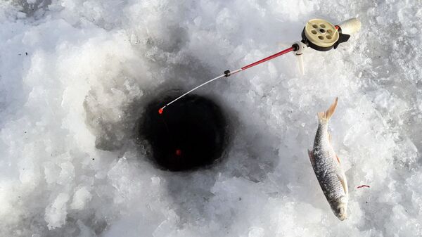 Подледная рыбалка на Минском море - Sputnik Беларусь