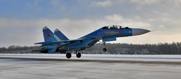 Сопка, Сушка и Противник: как белорусская армия осваивает вооружение из РФ - Sputnik Беларусь