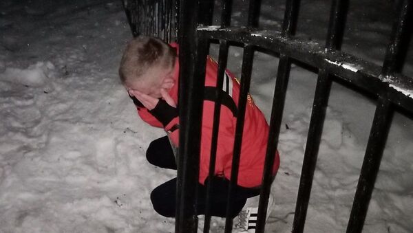 Житель Светлогорска решил перелезть через забор и застрял в нем - Sputnik Беларусь