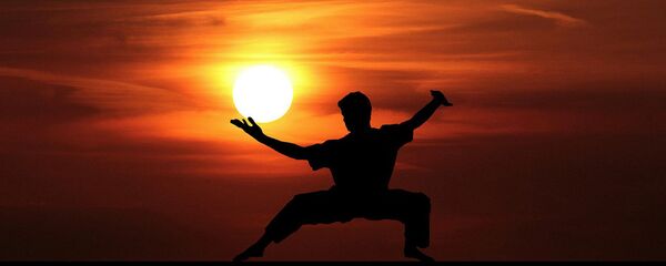 Вызвали на бой, а меня нет: история дисквалифицированного тхэквондиста Силлы - Sputnik Беларусь