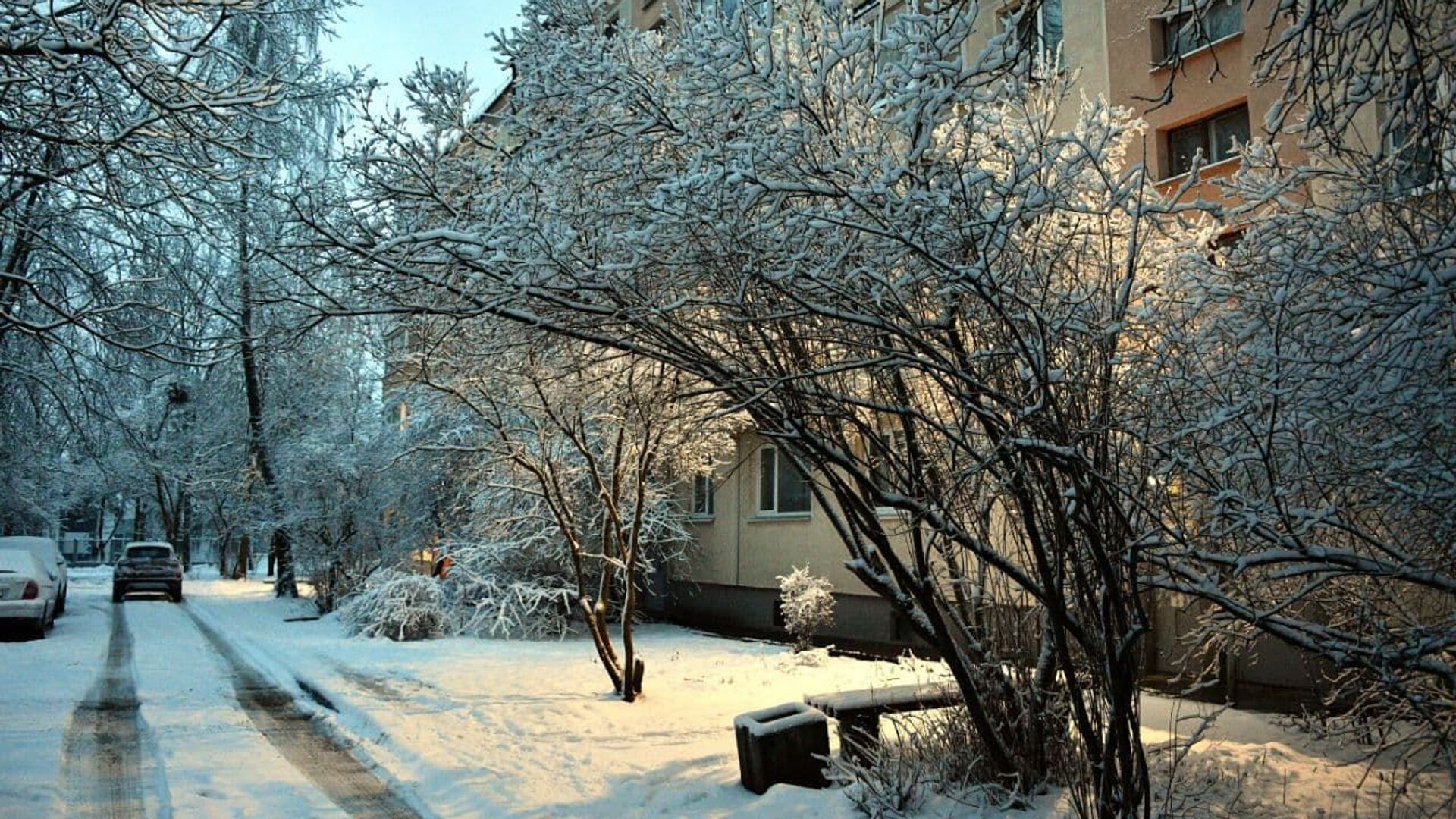 Снег в Минске - Sputnik Беларусь, 1920, 01.12.2021