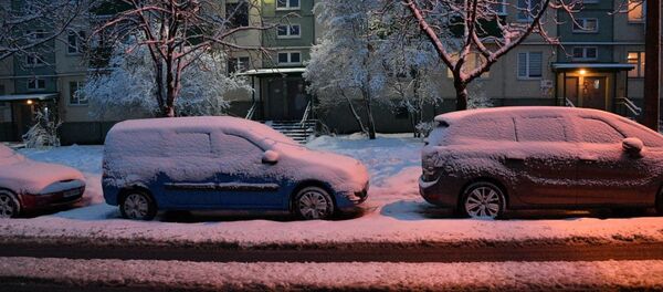 Снег в Минске - Sputnik Беларусь