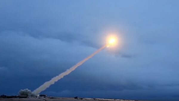 Испытания крылатой ракеты с ядерным двигателем «Буревестник» - Sputnik Беларусь
