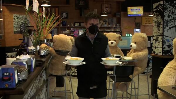 Из-за изоляции мишки Тедди захватили итальянский бар (видео) - Sputnik Беларусь