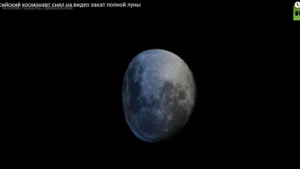Российский космонавт наглядно показал, как сплющивается Луна - видео - Sputnik Беларусь