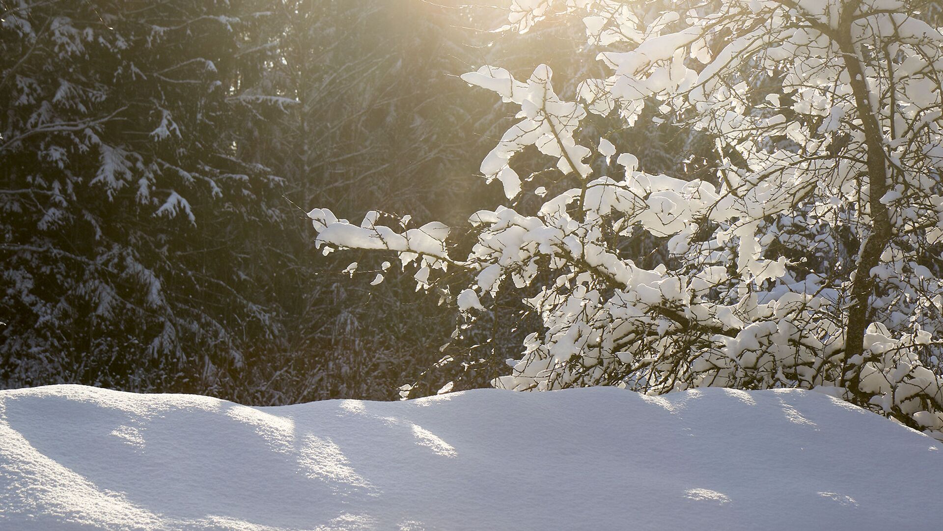 Синоптики рассказали о погоде в первый уикенд и первый рабочий день года Синоптики рассказали о погоде в первый уикенд и первый рабочий день года
